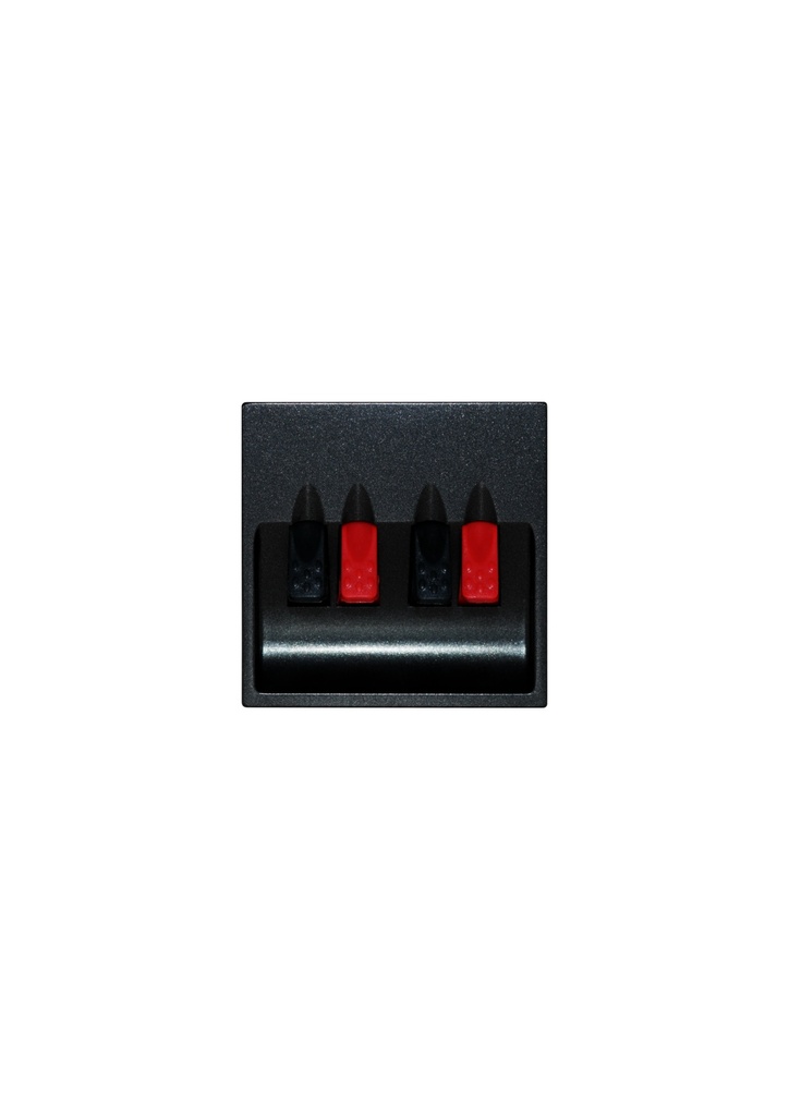 Terre Stereo speaker unit ,Black