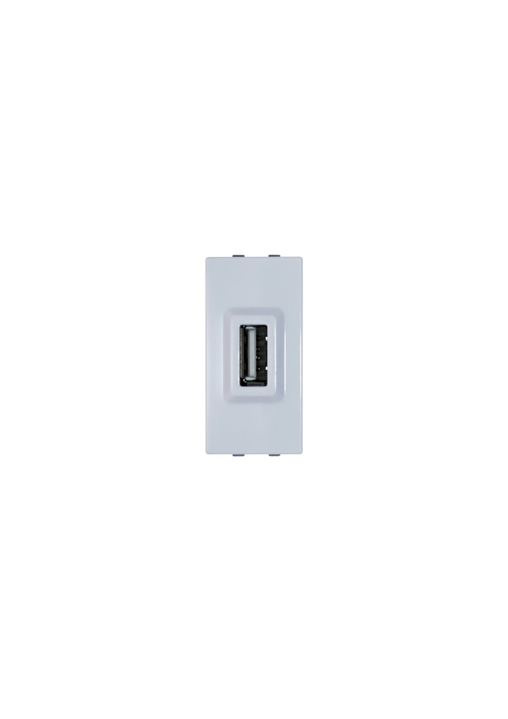Terre USB socket unit ,White