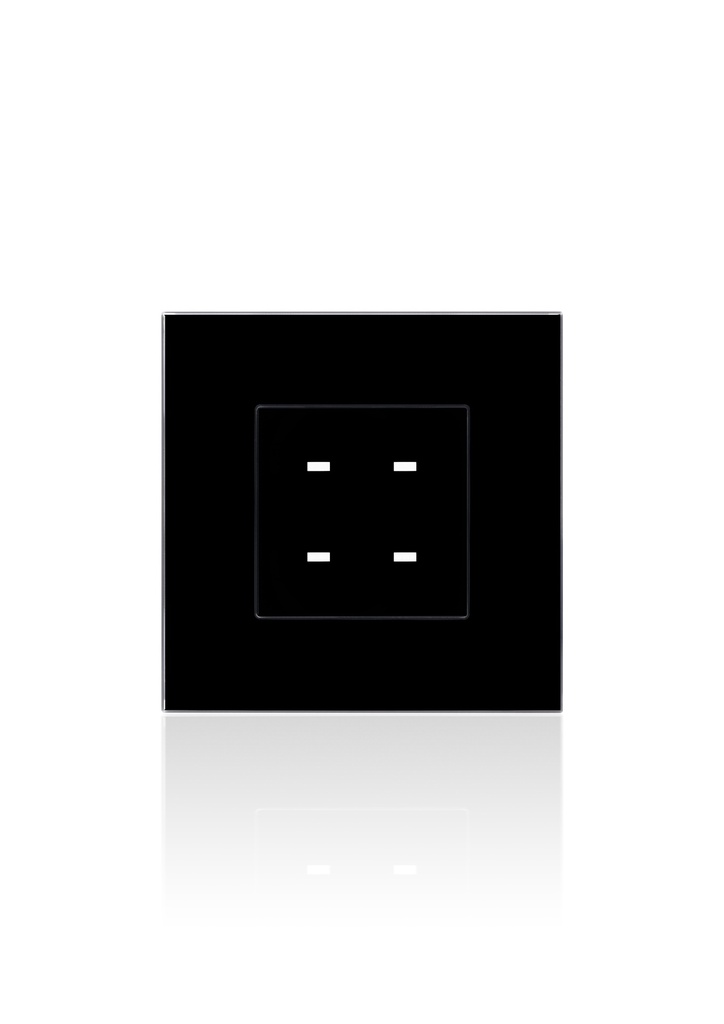 Terre touch 4 gangs with Adaptor to connect to Panel Addition