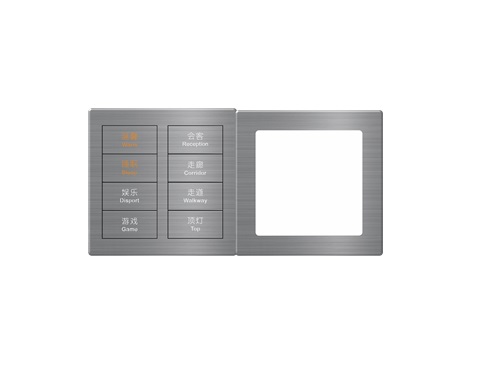 SIR Series 8 gang in Double Frame Gray