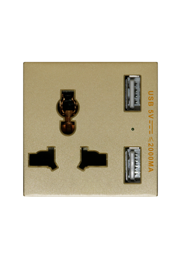 [SOL-PLG-USB-G] SOL Universal switched socket with 2 USB Charger Gold Color UK Size